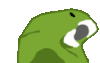 :parrotdad: :parrotdad:
